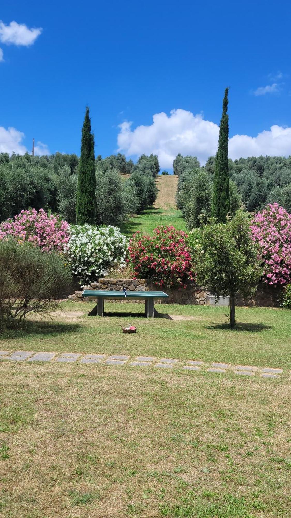 Agriturismo Podere Casalone Limite Eksteriør billede